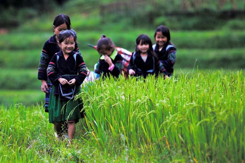 Sapa & Mu Cang Chai Trekking Tour 5 days 4 nights